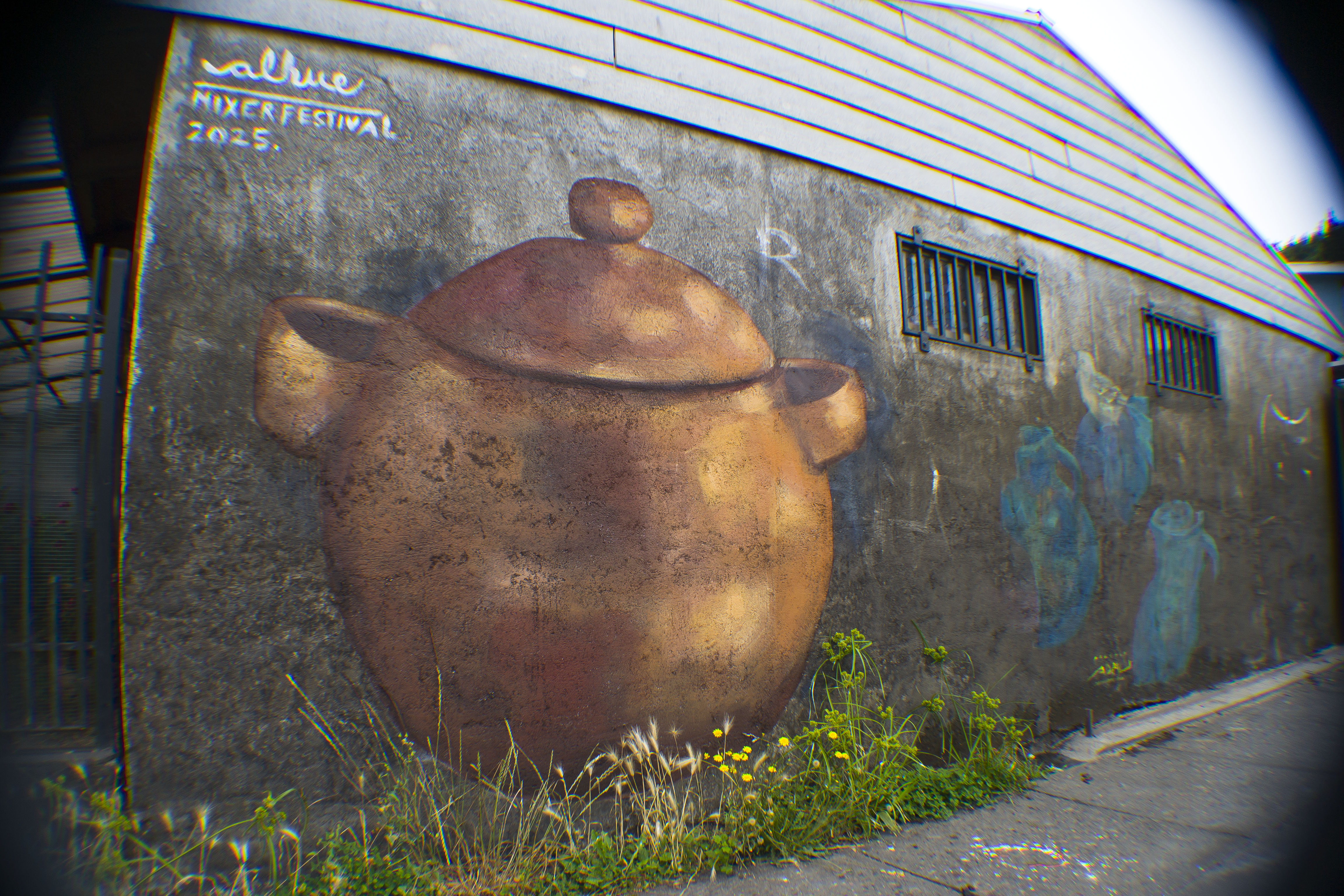 Muro alhue